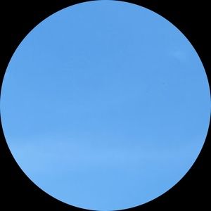 Meet your Posher, Bree